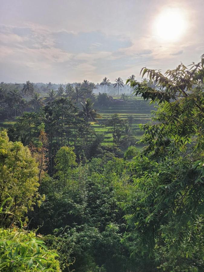 Les Rizieres Lombok - Tetebatu Ξενοδοχείο Εξωτερικό φωτογραφία